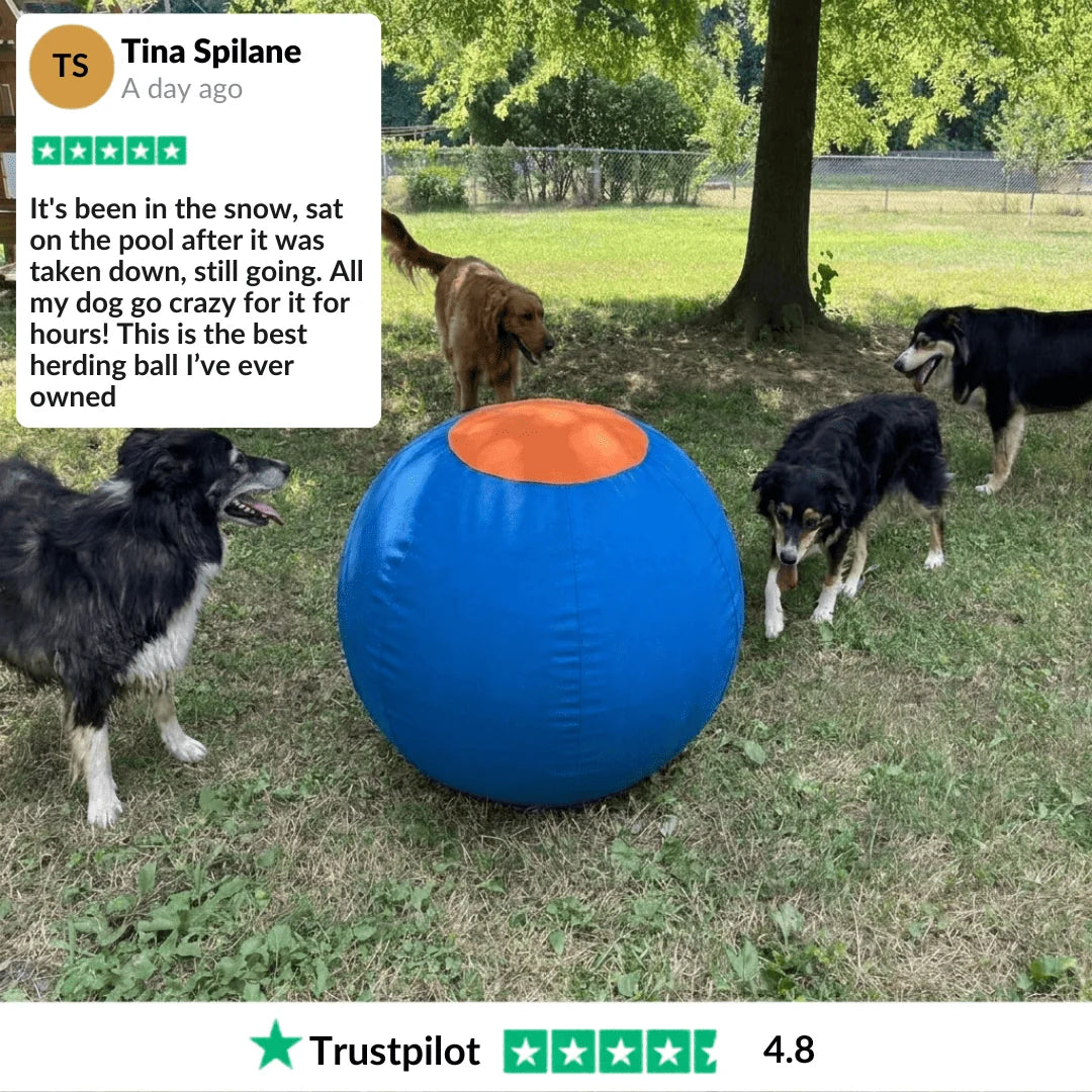 Elari Herding Ball