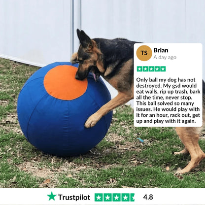 Elari Herding Ball
