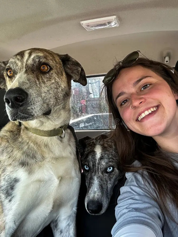 files/happy-selfie-owner-two-dogs-car-woman-smiles-selfie-two-dogs-car-both-large-brindle-395885731.webp