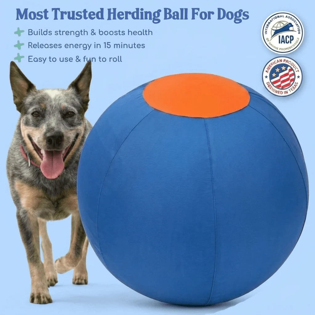 Elari Herding Ball