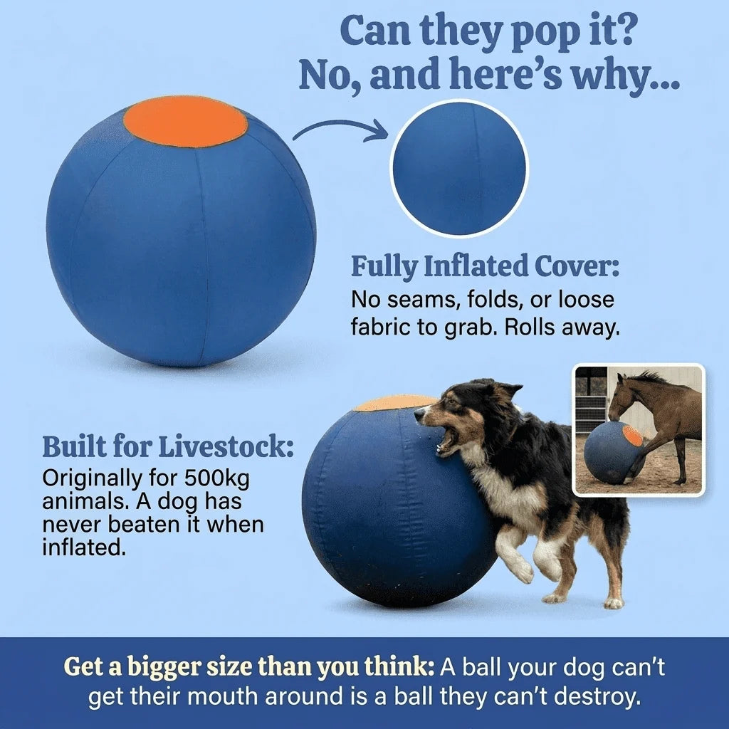 Elari Herding Ball