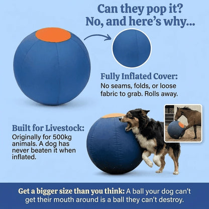 Elari Herding Ball