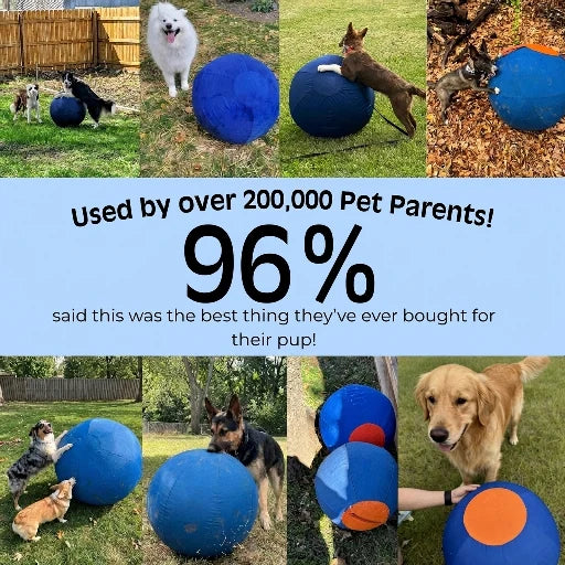 Elari Herding Ball