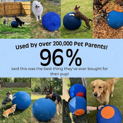 Elari Herding Ball