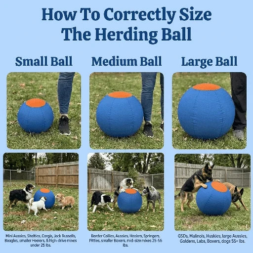 Elari Herding Ball