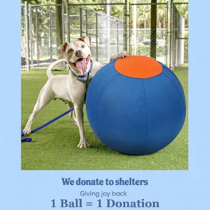 Elari Herding Ball