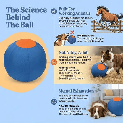 Elari Herding Ball