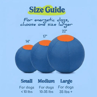 Elari Herding Ball